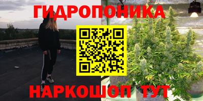 spice Балаково