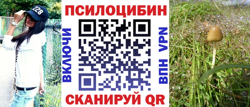 omg вход  хочу наркоту  Красногорск  Псилоцибиновые грибы MAGIC MUSHROOMS 
