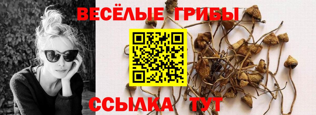 Псилоцибиновые грибы прущие грибы Красногорск