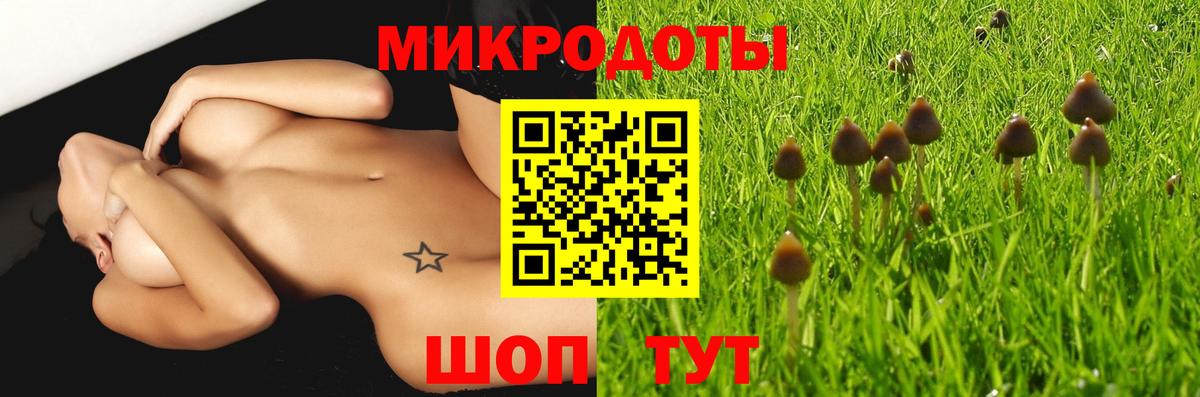 Псилоцибиновые грибы Psilocybe  Вход с VPN  Красногорск 